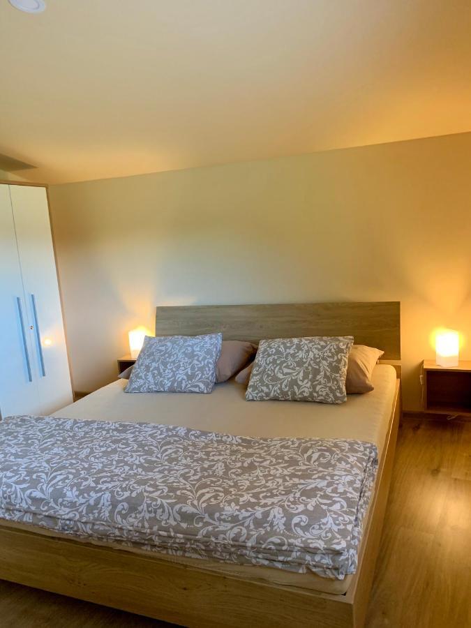 Grand Spa Holiday Home II Sklené Teplice エクステリア 写真