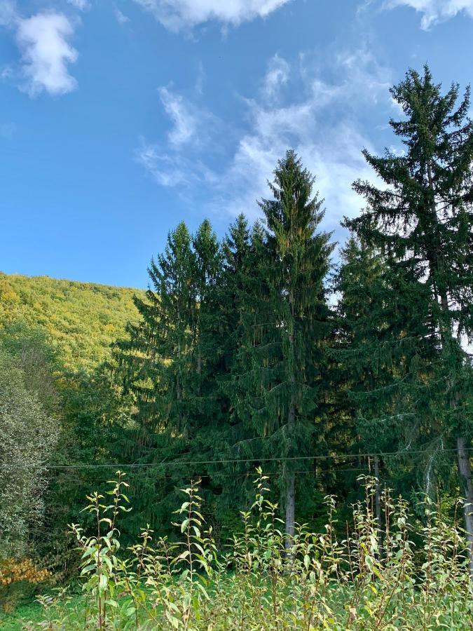 Grand Spa Holiday Home II Sklené Teplice エクステリア 写真